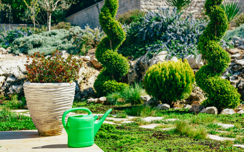 Для того, чтобы правильно и логично разместить все декоративные элементы и зоны, необходимо составить предварительный план