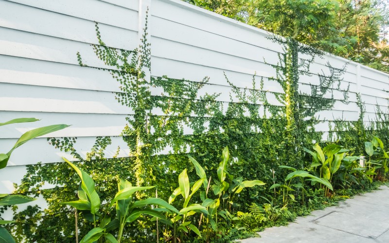 Любой забор можно декорировать множеством способов