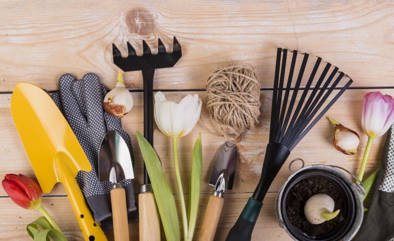 Хорошие инструменты для сада значительно облегчают работу