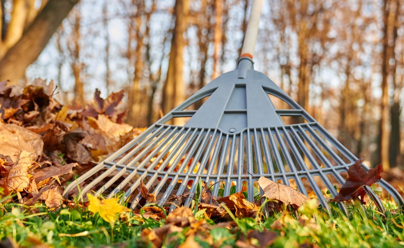 Выбирайте размер граблей, исходя из ваших задач и площади территории