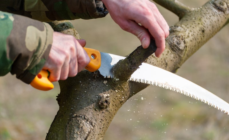 При выборе ножовки или пилы учитывайте вес, чтобы было легче ею работать