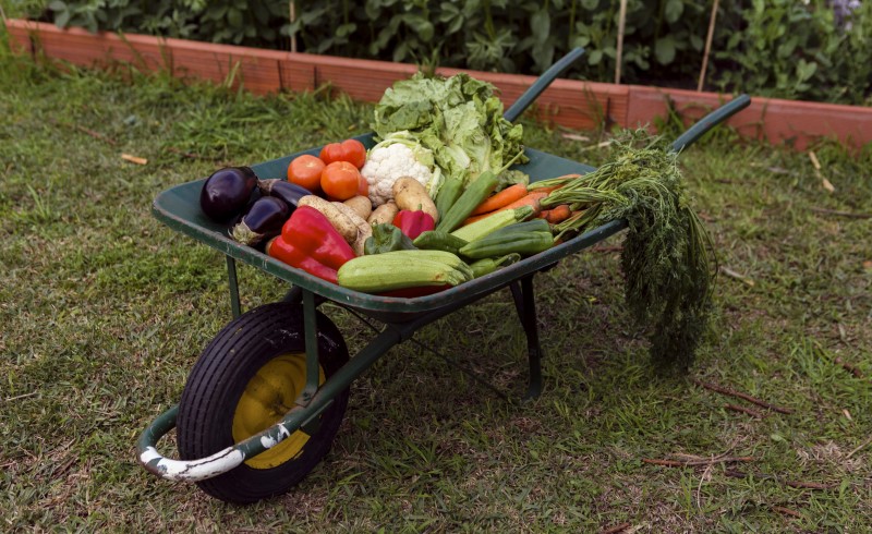Выбирайте легкую и маневренную модель тачки с одним колесом