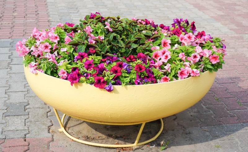 Так как декоративные растения являются частью ландшафтного дизайна, стоит подходить к их рассадке внимательно