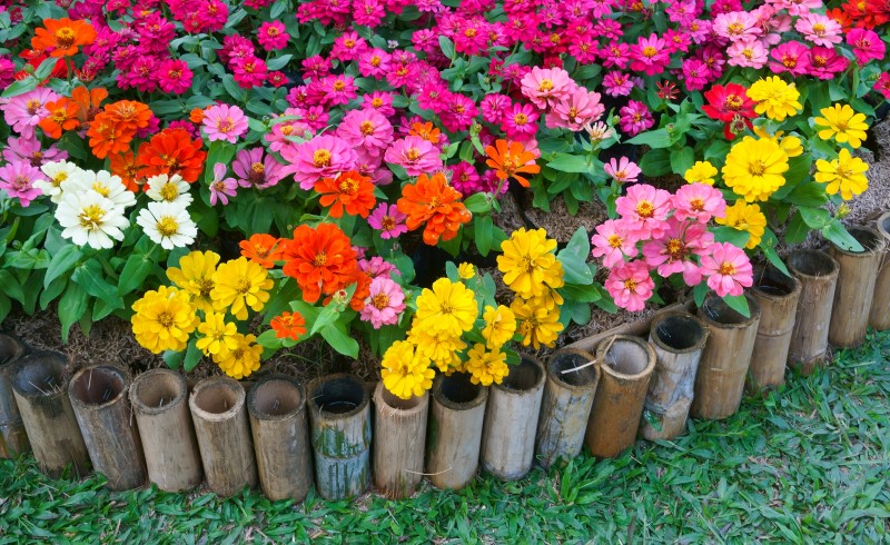 Прежде чем покупать растения для цветника, стоит выбрать вид клумбы, который будет у вас на участке