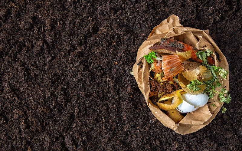 Выбор типа компоста зависит от потребностей и условий владельца участка