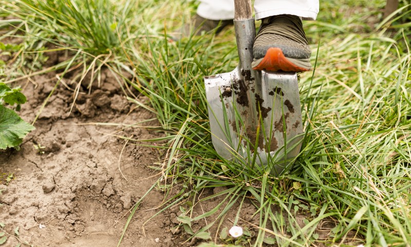 Основные этапы поднятия участка