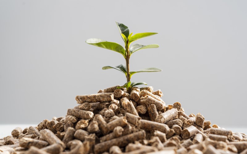 Удобрения на дачном участке можно хранить только в соответствии с правилами