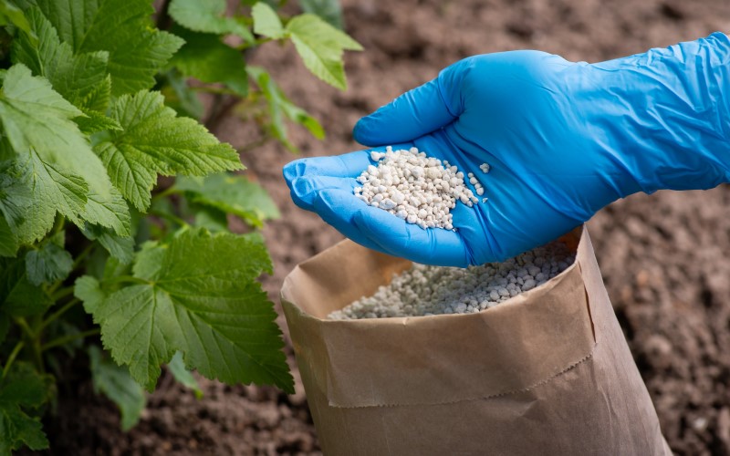 Владельцам участков рекомендуется внимательно изучать нормативные акты и инструкции производителей удобрений