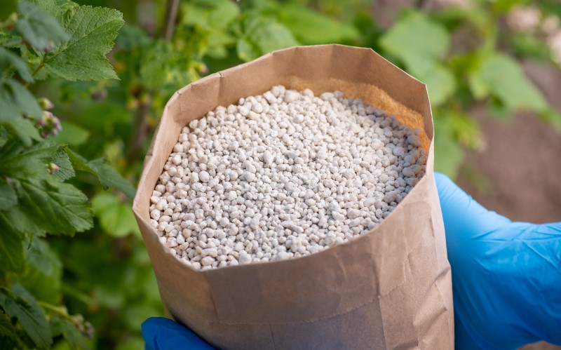 Выбор типа удобрения зависит от культуры и состояния почвы