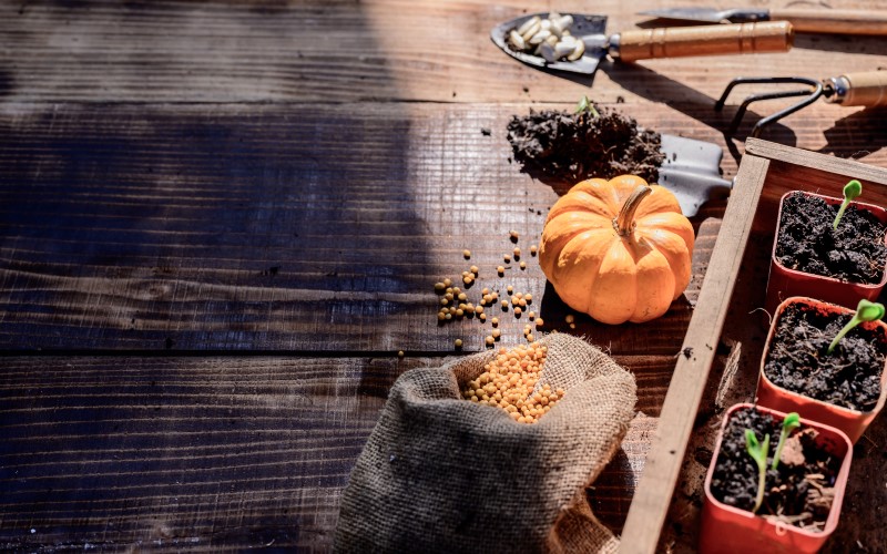 Каждое удобрение имеет свои сроки внесения