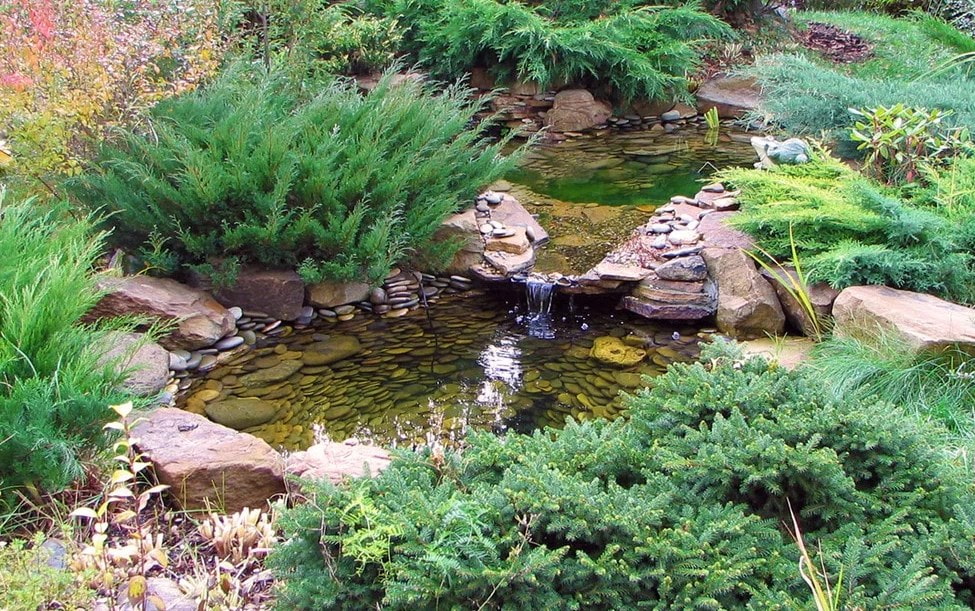 береговая линия