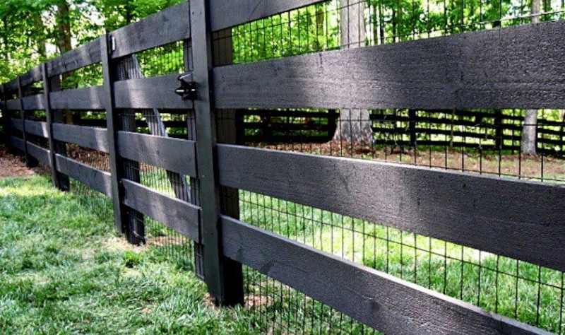 Дерево и проволока для забора