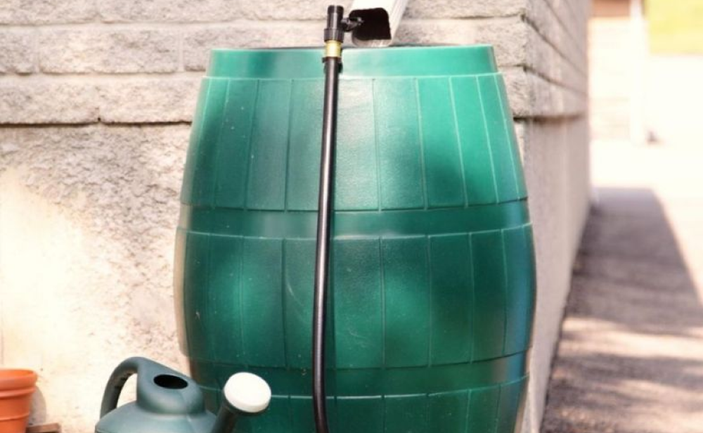 Сбор дождевой воды