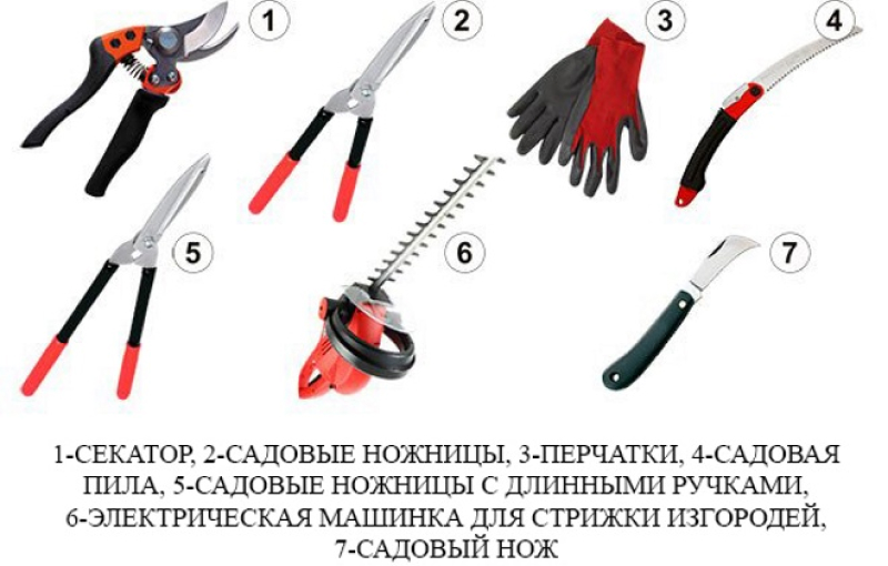Инструменты для обрезки деревьев
