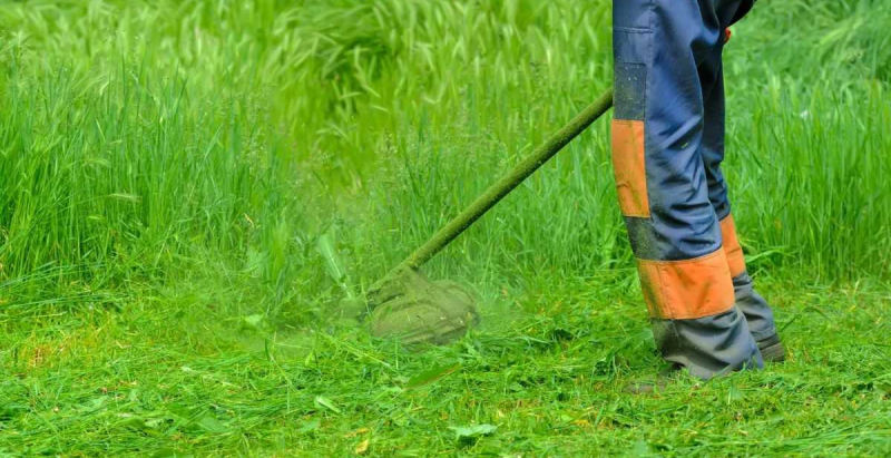 Скашиваем траву