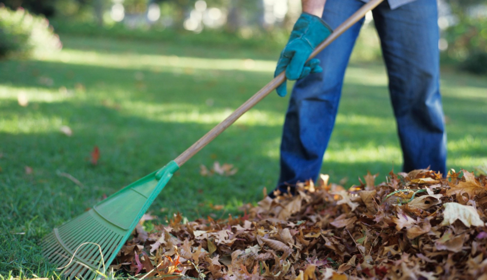 Уборка в саду