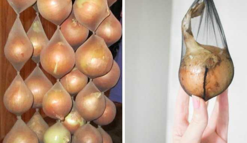 Хранение лука в чулках