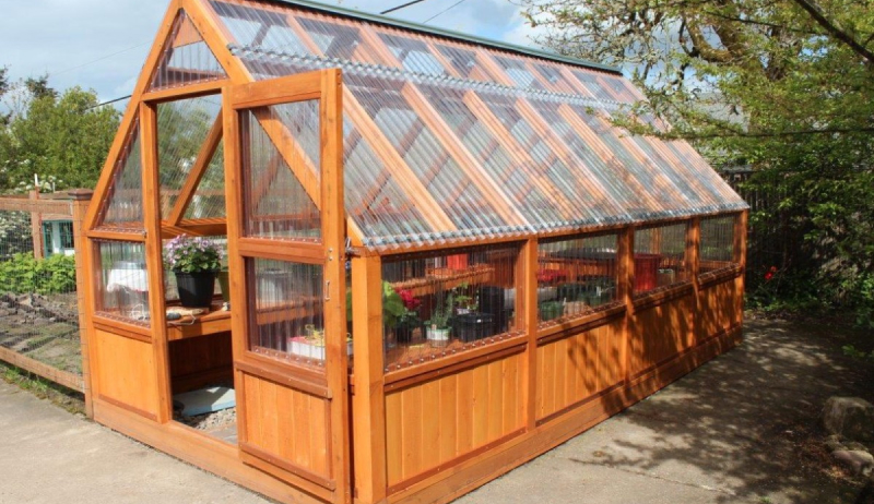 Теплица своими руками