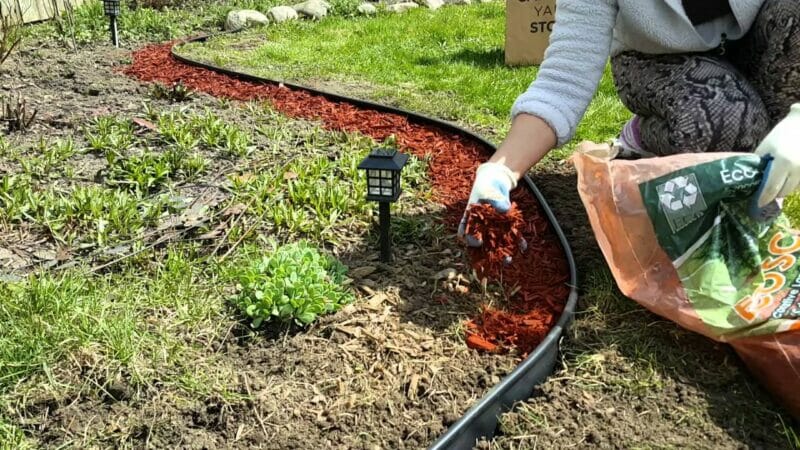 мульчирование