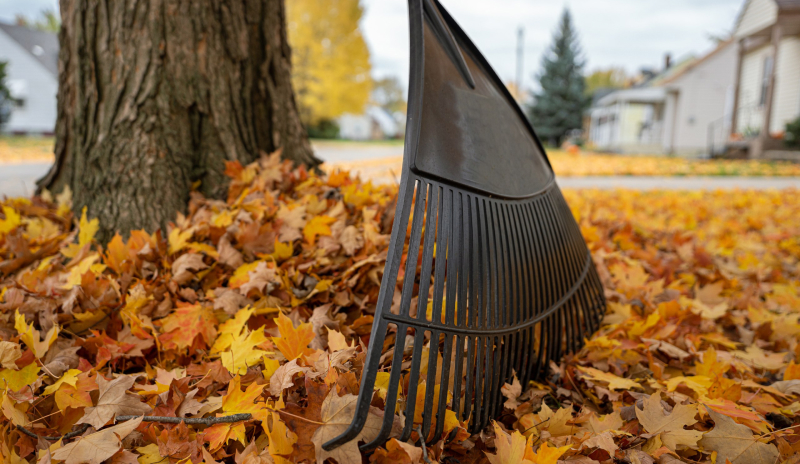 Садовые грабли