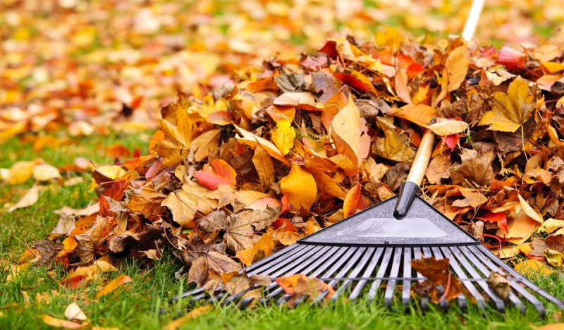 Уборка опавших листьев
