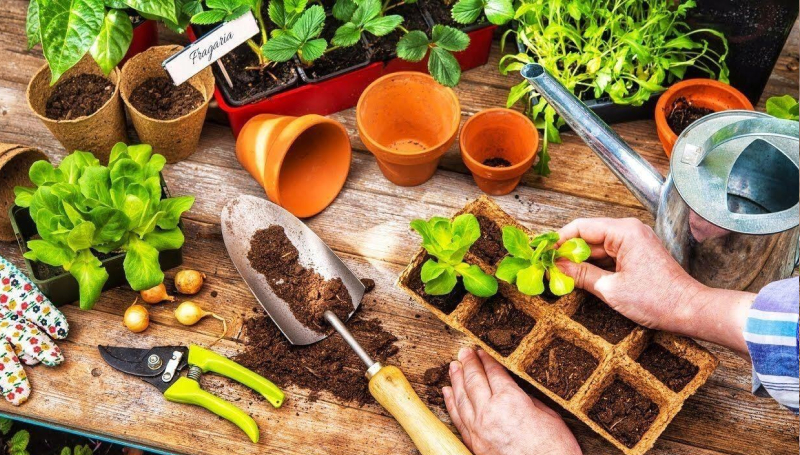 Сокращение количества удобрений