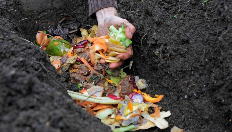 Компостирование, как альтернатива использованию мусоропровода