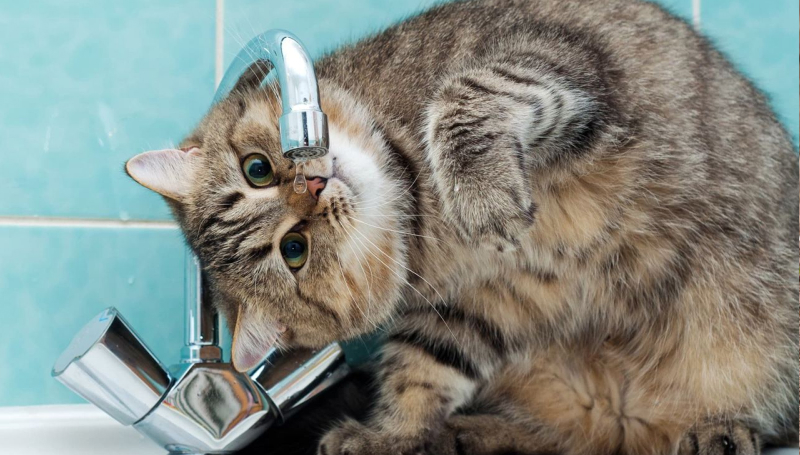 Сокращение потребления воды в доме