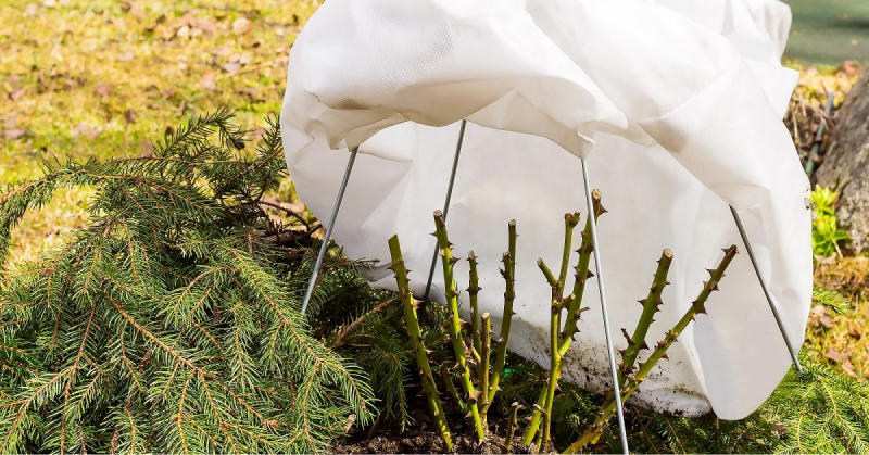 Укрытие растений