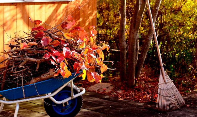 Работа на даче в октябре