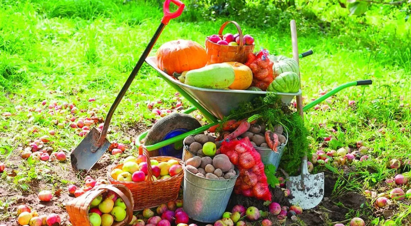 Инструменты для уборки урожая