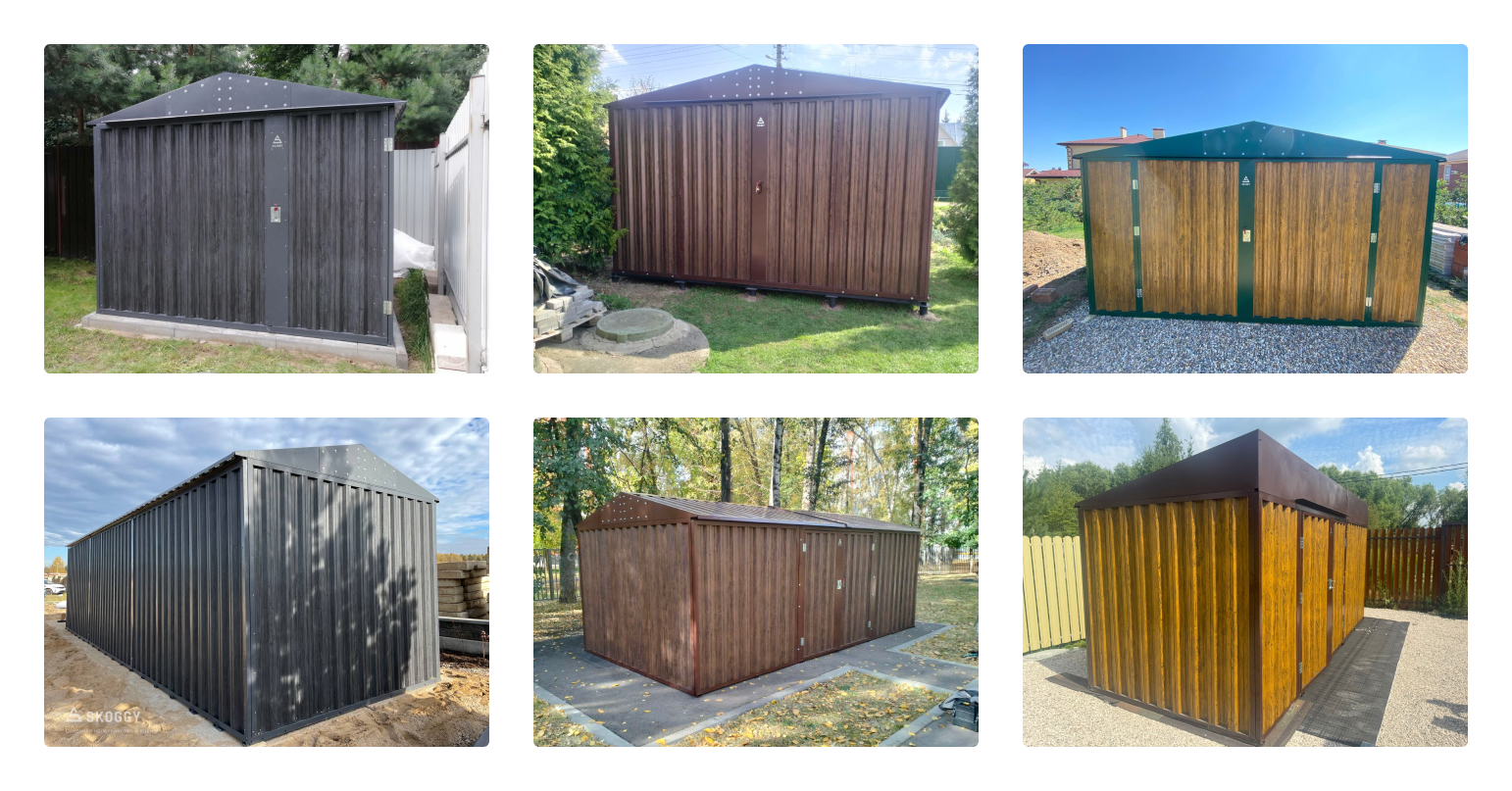 Акция СКОГГИ