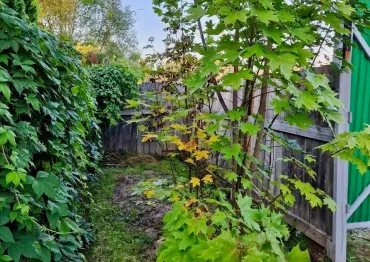 Вместительный хозблок для хранения в расцветке "под дерево" с рольставнями для заказчика в пос. Первомайское, г. Москва