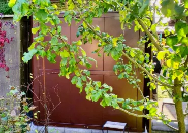  Безупречный премиум хозблок МАХ в шоколадном цвете на участок в СТ Салют, Истринский р-н, МО