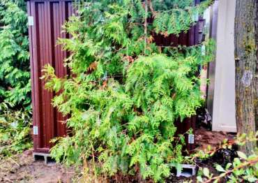 Два качественных хозблока для стройматериалов и инвентаря в шоколадном цвете в дер. Дунино, Одинцовский р-н, МО