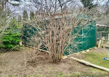 Инновационный хозблок для хранения инвентаря в ярком зеленом цвете в дер. Жостово, Мытищинский р-н, МО