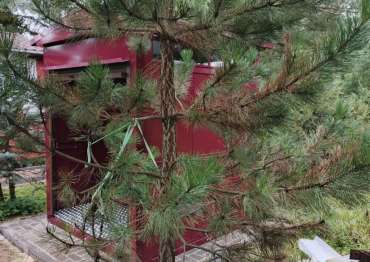 Удобный мини-хозблок в дер. Волосово, Петушинский р-н, Владимирская обл.