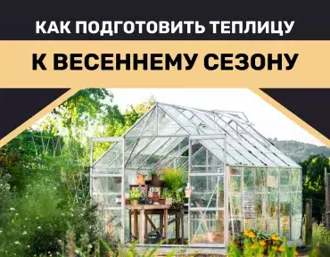 Подготовка теплицы к весеннему периоду